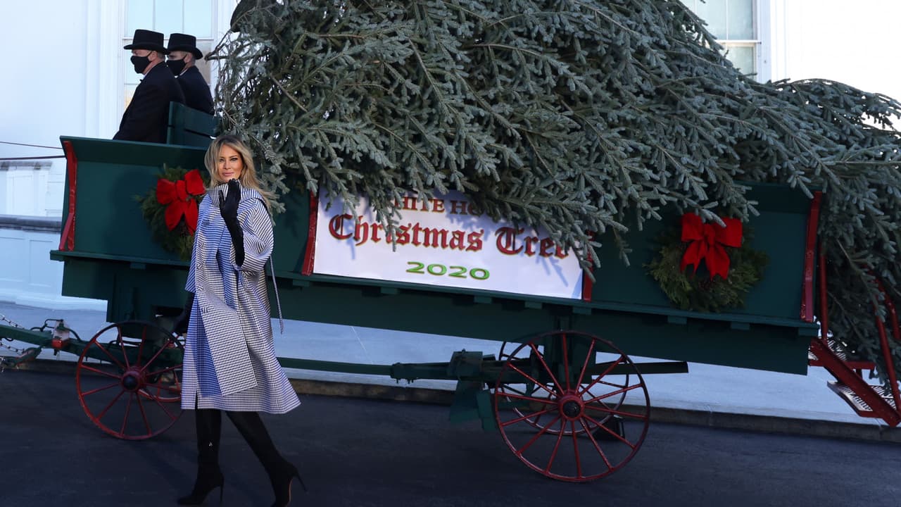 Melania Trump recibe el árbol de Navidad que adornará la Casa Blanca