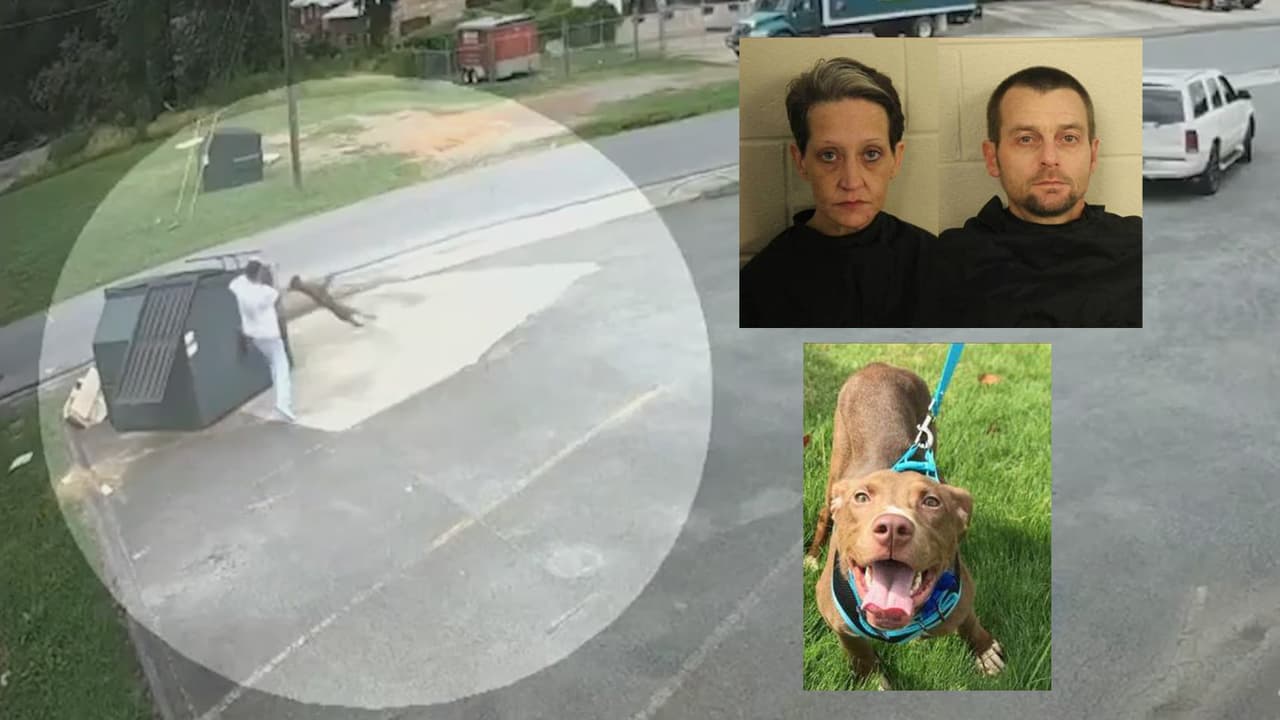 Jason Kelley y Tonya Trapp fueron arrestados y acusados de crueldad animal