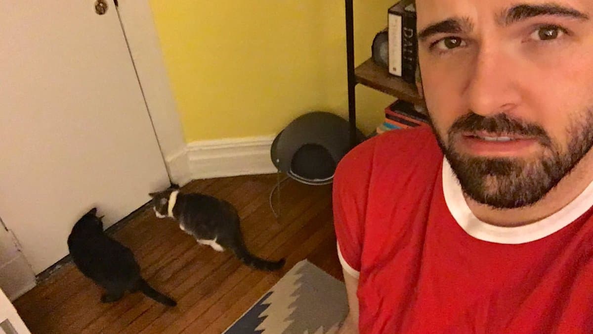 Tras dos meses de no saber nada de David, Adam notó algo raro en la conducta de sus gatos: exactamente a la media noche, los felinos se apostaban al filo de su puerta, como si percibieran algo del otro lado. Adam relató que notó movimiento a través del picaporte, por lo que se armó de valor y abrió la puerta. No encontró nada. Sin embargo, sus mascotas seguían inquietas. "Creo que ‘Dear David’ me encontró", escribió en Twitter.