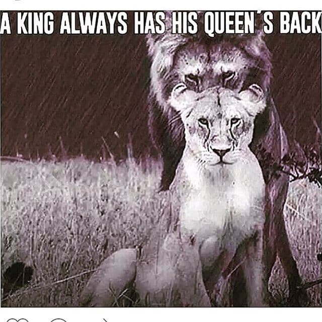 "Trankila mi leona i got your back don't worry Dios esta de nuestro lado ! (sic)", compartió en su cuenta de Instagram @MrAlexisPR