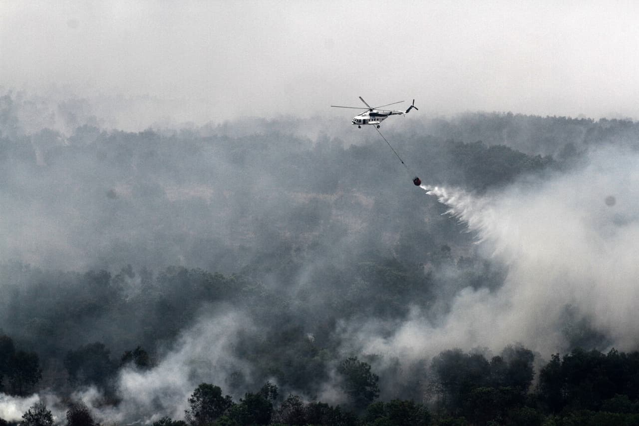Hay días que los incendios de Indonesia emiten más CO2 que toda la economía de EEUU