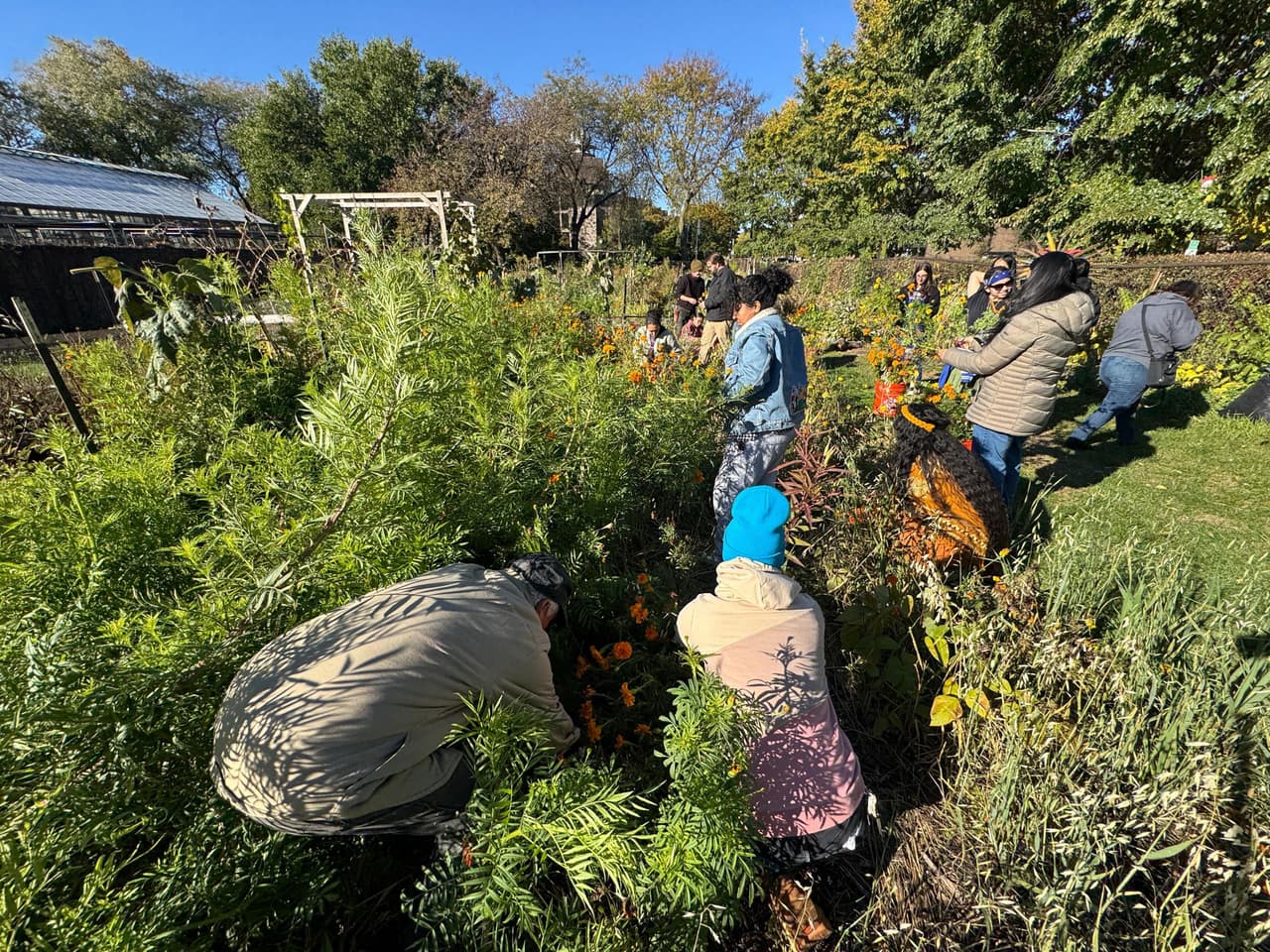 Ferreira recuerda cómo comenzó este camino.
<br>
<br>“Se me ocurrió hacer la danza y alguien me vio, y se les ocurrió decir: oye, ¿por qué no vienes a danzar aquí y allá?”, dijo Roberto Ferreira, músico, pintor y danzante.
<br>