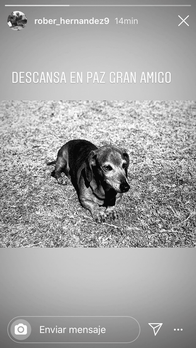 Uno de ellos, Roberto, se despidió de la mascota con esta foto en la que e deseó un buen descanso.
