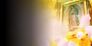 La Rosa de Guadalupe