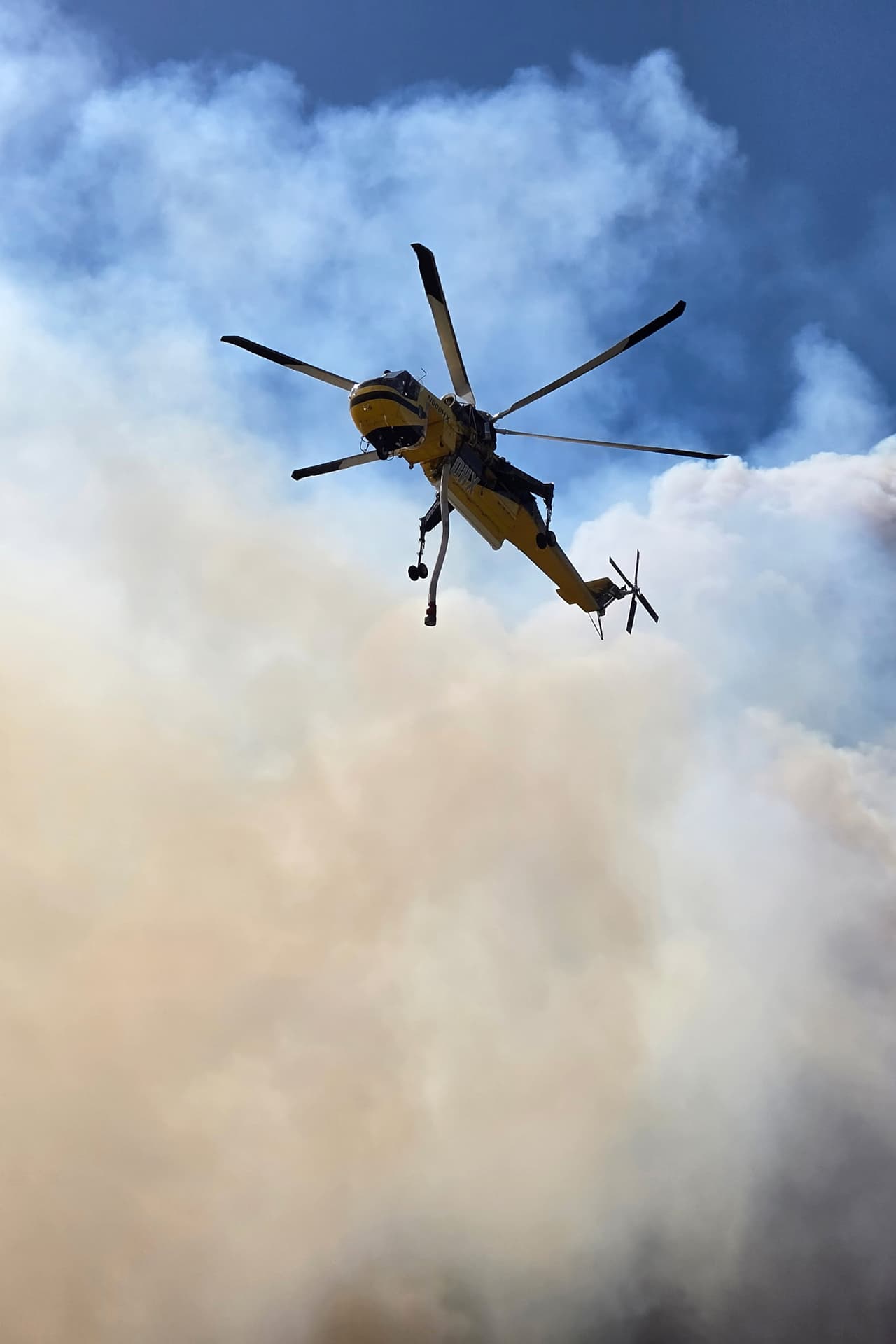 Esta fotografía, proporcionada por el Departamento de Recursos Naturales de Georgia, muestra a bomberos respondiendo al incendio de Pineland Road, en el sureste de Georgia, el miércoles 22 de abril de 2026. (Departamento de Recursos Naturales de Georgia vía AP)