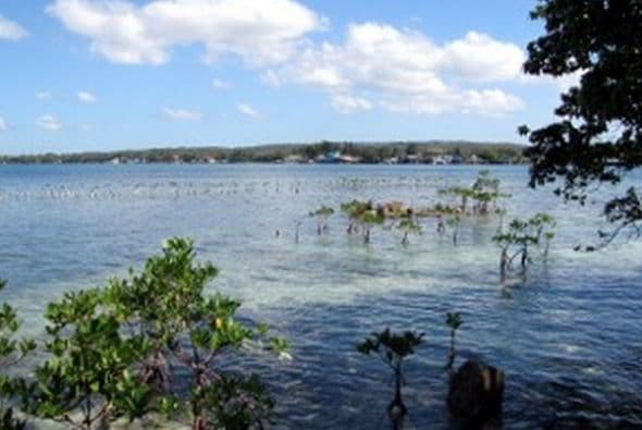Está a tan solo seis minutos en barco desde el municipio de Salinas. Tiene una sola casa que cuenta con tres habitaciones. La misma funciona solo con energía solar. (Fotos: http://puertoricosothebysrealty.com/)