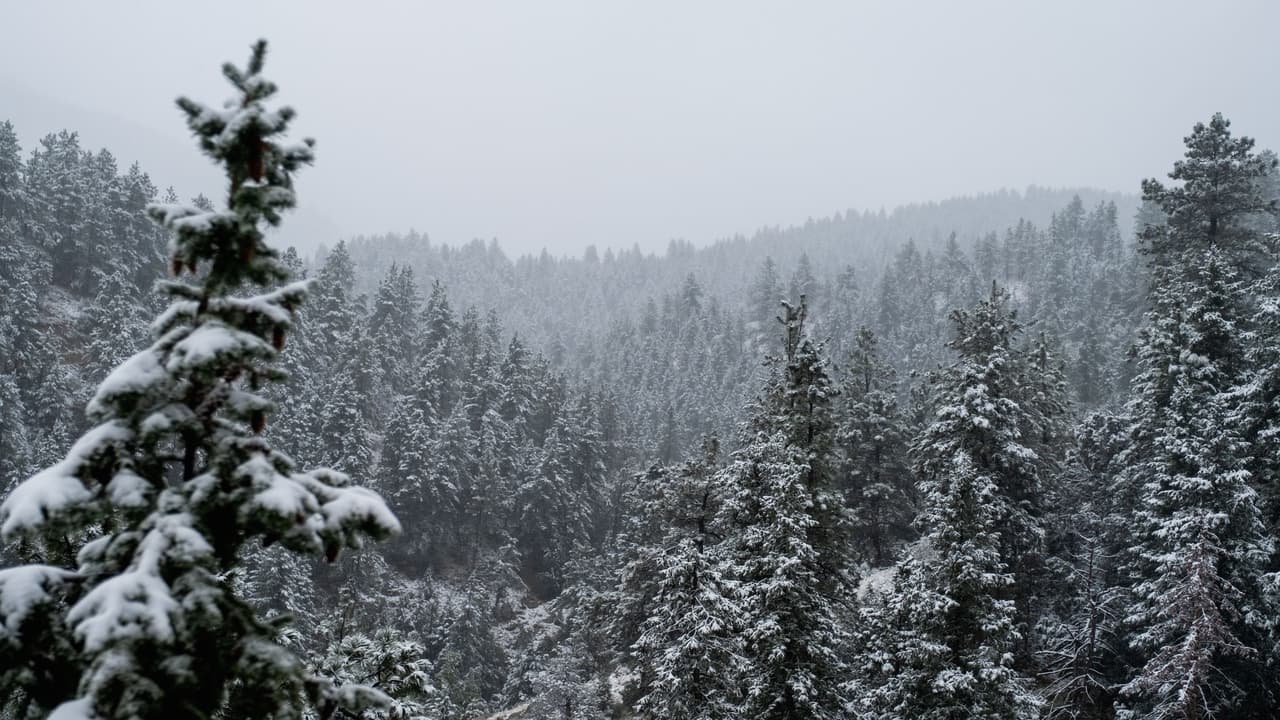 <b>8. Colorado</b>
<br>Expectativa de vida general (en años): 80.0
<br>Hombres: 77.7
<br>Mujeres: 82.3