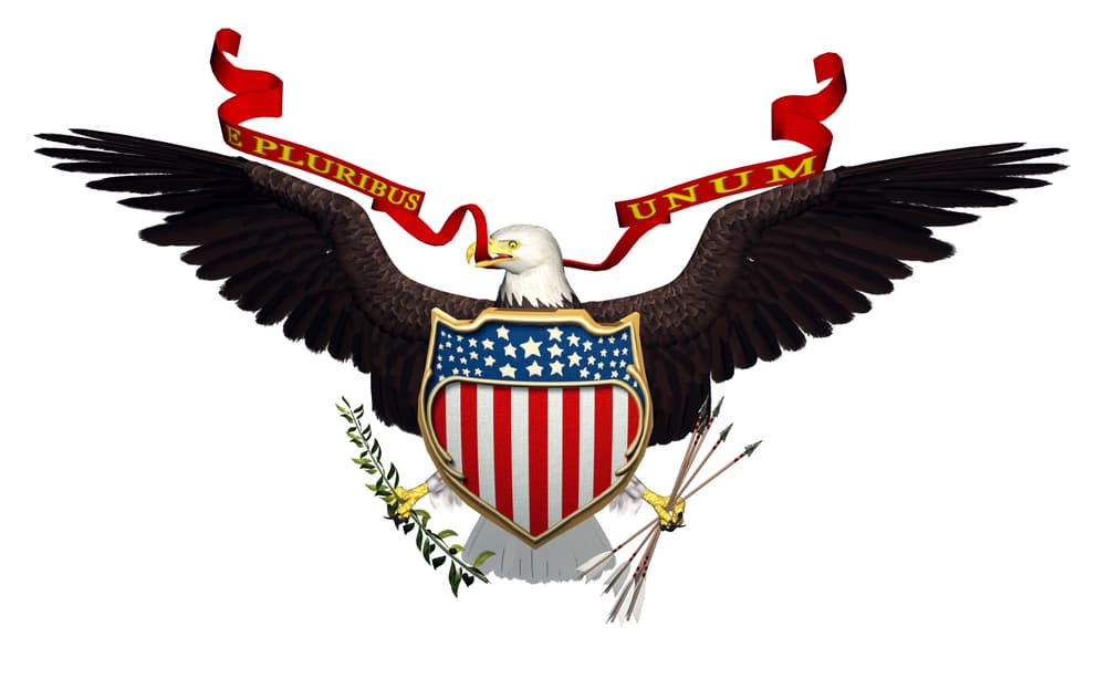 El lema nacional del país (E pluribus unum) figura con 13 letras, trece fueron las colonias originales y aparecen luego en el escudo original del país, se cree que el propio George Washington pidió que cuando se levantara la bandera de Estados Unidos se dispararan 13 salvas de artillería.