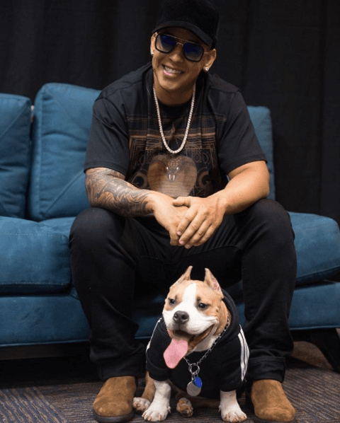 Daddy Yankee trata a su perro como si fuera su hijo y le puso 'Kaleb'.