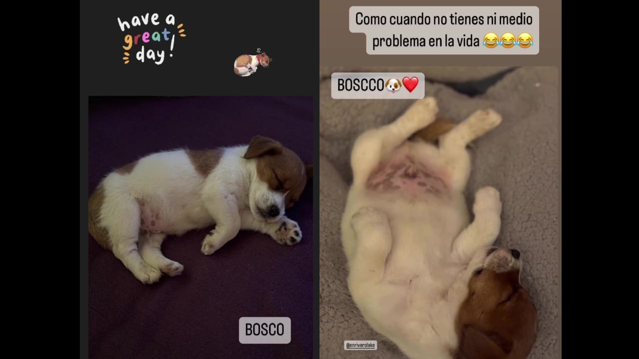 Chantal Andere presenta con tiernas fotos al nuevo integrante de su familia