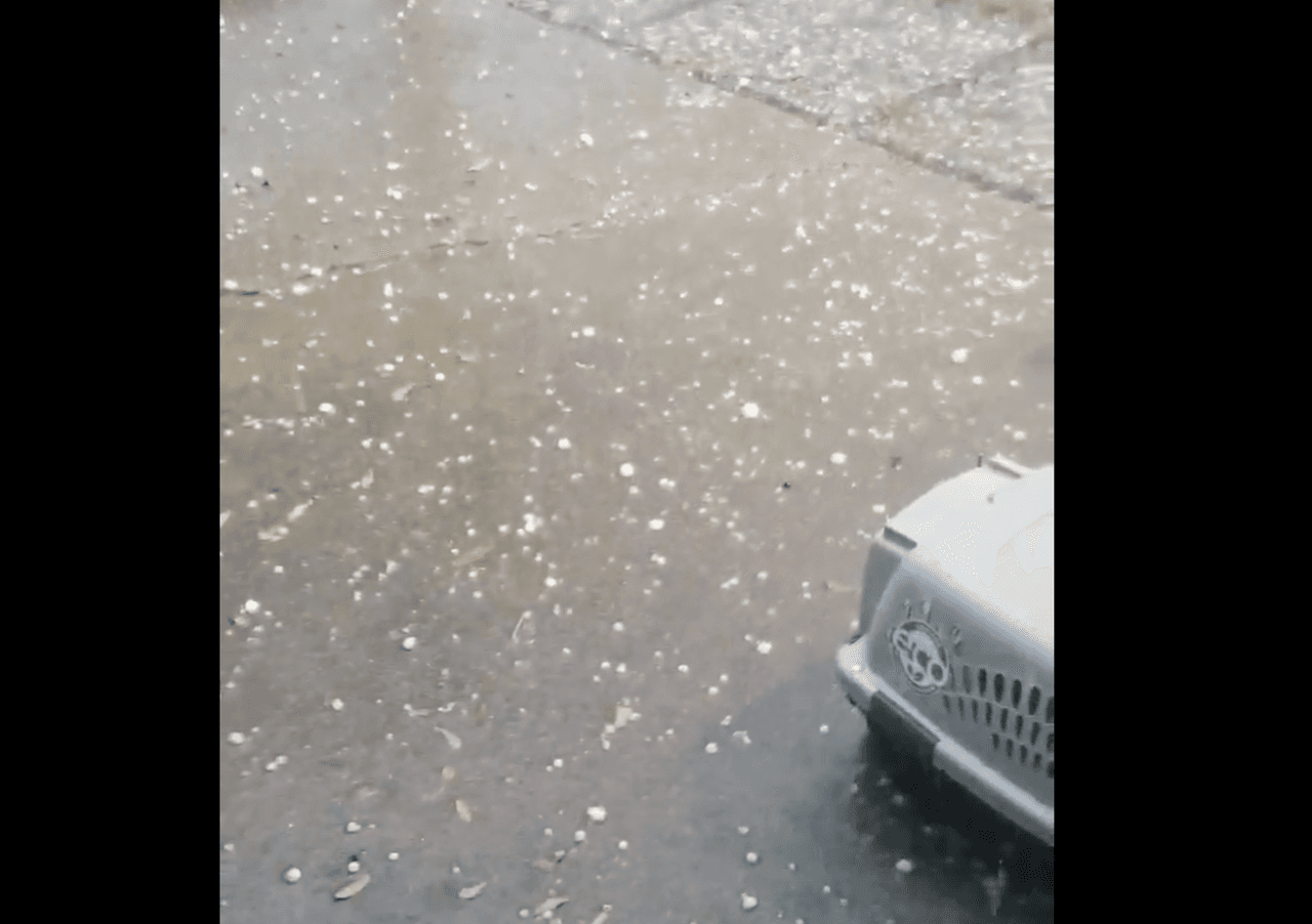 Lluvia y granizo en la zona de Cedar Hill debido a la tormenta del 9 de marzo de 2019.
