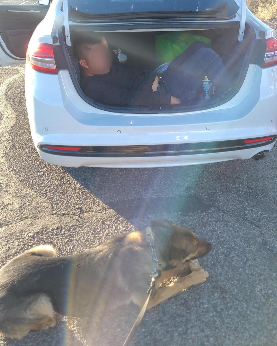 Agentes de la estación de Willcox refirieron un vehículo para una inspección secundaria en el punto de control SR-80. Cuando registraron el baúl un agente K9 alertó que había algo escondido y encontraron a los migrantes que fueron arrestados. Los dos traficantes, ciudadanos estadounidenses, también fueron arrestados.