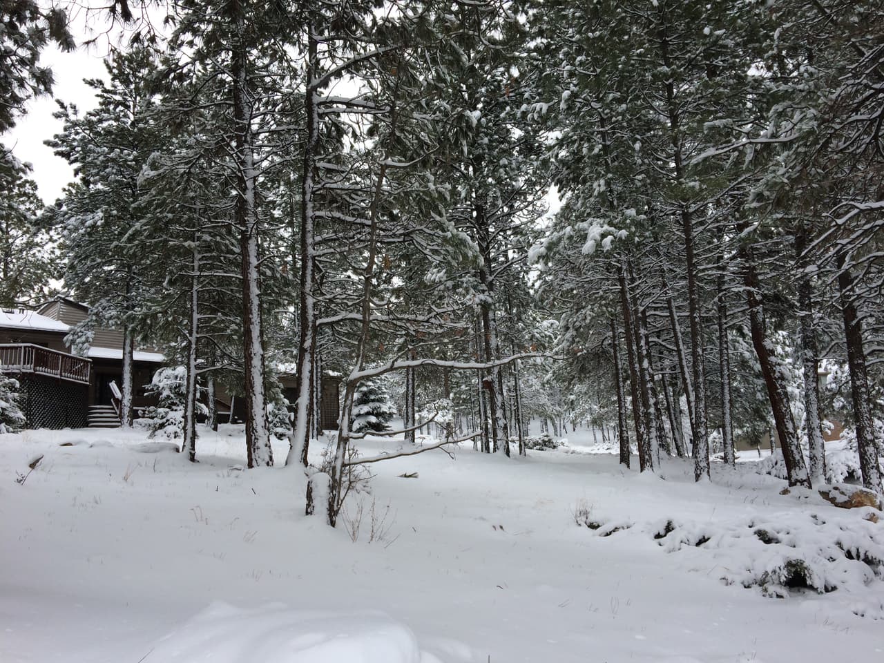 Flagstaff una ciudad del estado de Arizona, rodeada por montañas, desierto y pinos forestales.