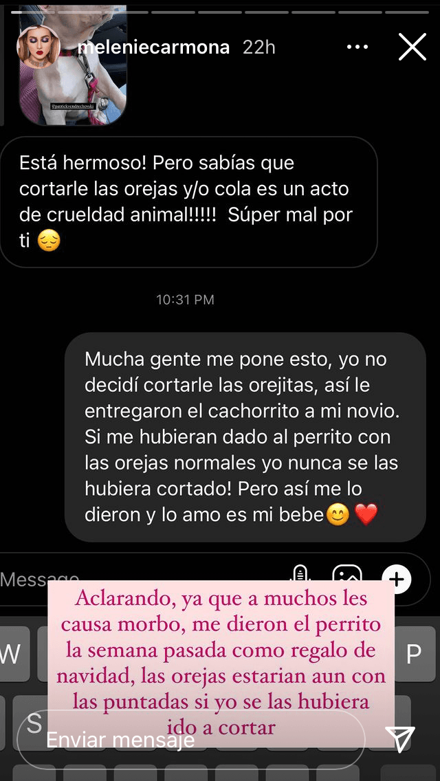 La joven realizó un screenshot de la conversación y la colocó en sus stories, con un comentario: "Aclarando, ya que a muchos les causa morbo. Me dieron al perrito la semana pasada, como regalo de Navidad".
