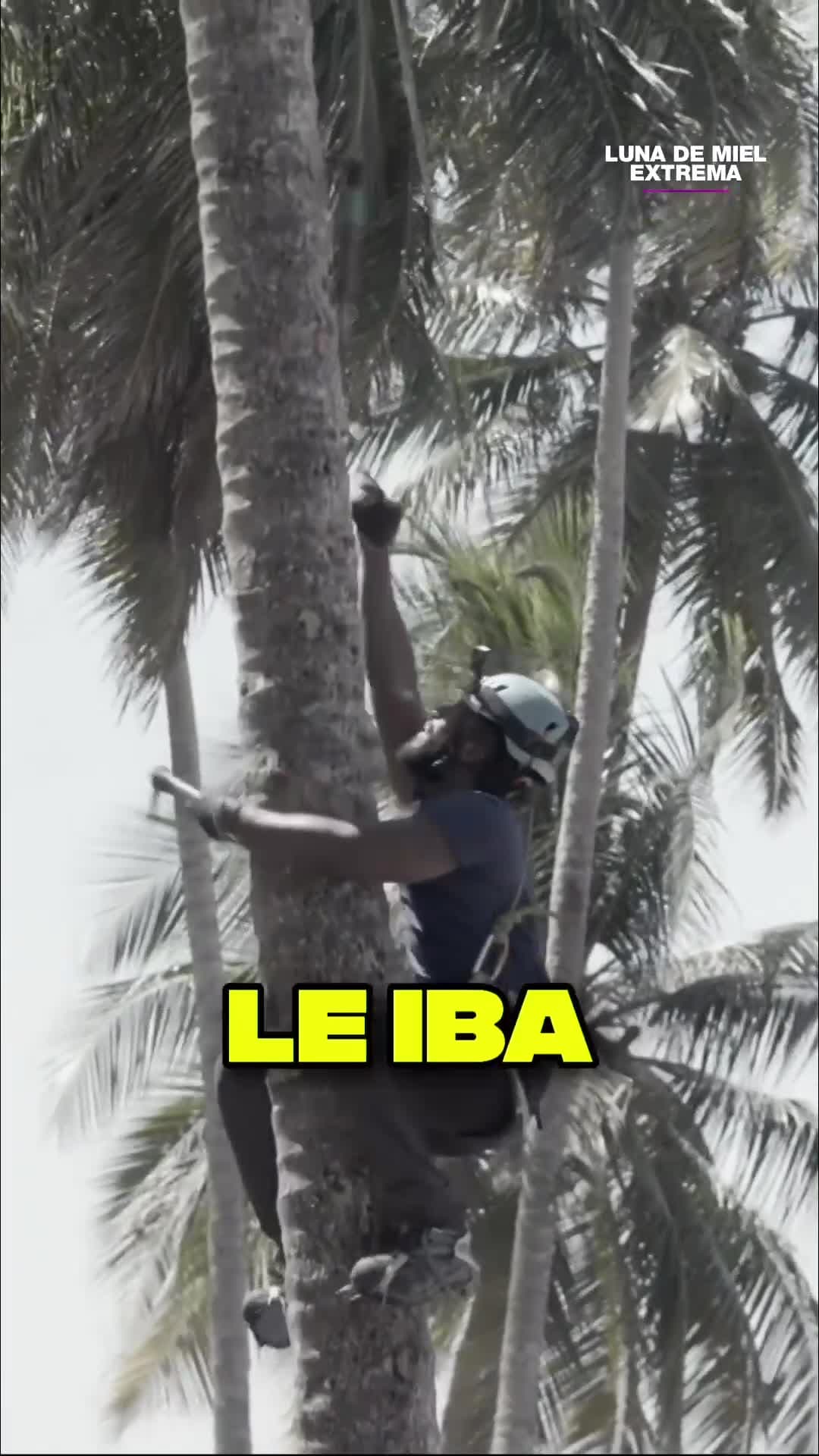 Mila asegura que Perfecto es una mujer y revela las razones