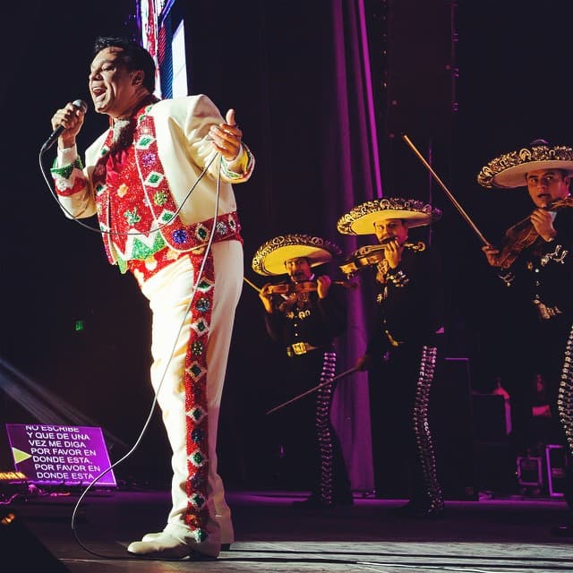 Su talento era tal que, en 1974 lanzó su primer disco acompañado de mariachi bajo el nombre de "Juan Gabriel con el Mariachi Vargas de Tecalitlán".