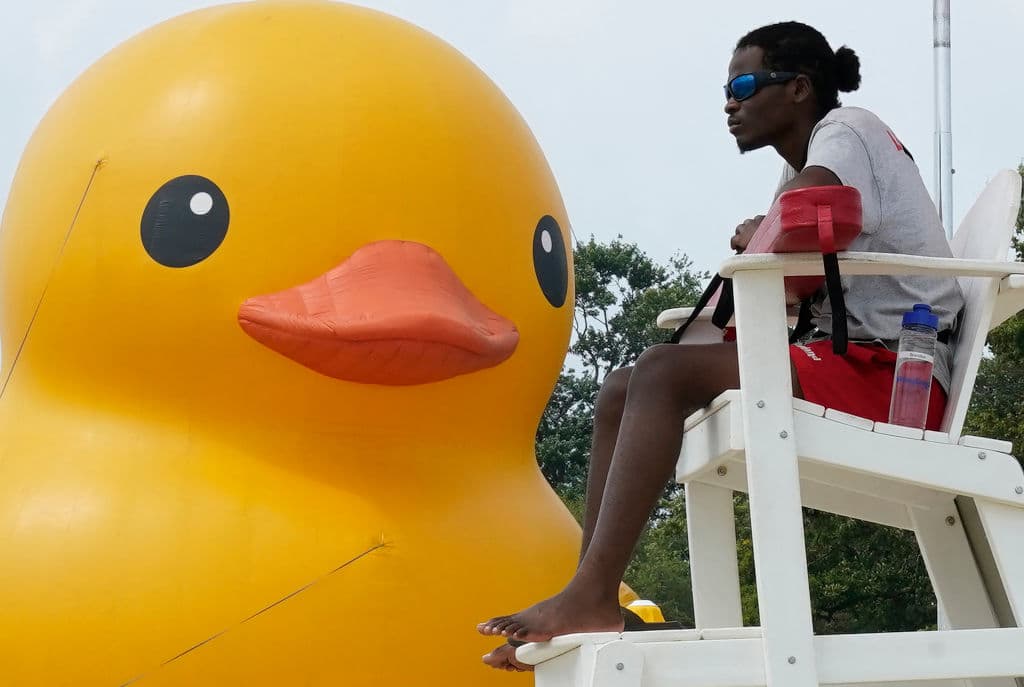 La visita de "Mama Duck" a Rye es parte de la celebración 'Duck Days of Summer', que realizan por segundo año consecutivo. Además de la gigantesca pata inflable, durante el evento se promueve la bondad y otros valores.