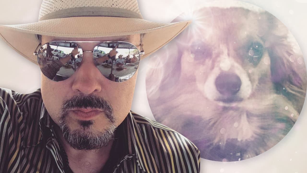 Después de la muerte accidental de su mascota, Pepe Aguilar habla públicamente de la aerolínea