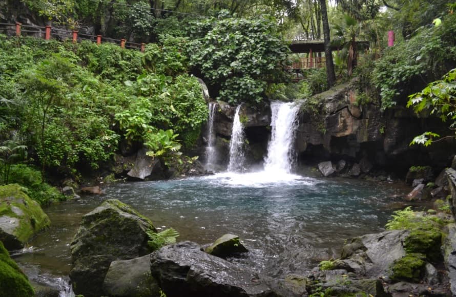 En el parque se han registrado 
<b>495 especies de plantas nativas y 213 especies de vertebrados terrestres</b>. Es uno de los principales centros recreativos del estado de Michoacán. 
<br>
<br>En este espacio se generan importantes servicios ambientales, entre ellos, protección de la diversidad biológica, captación de agua de lluvia, regulación del clima, captura de carbono y producción de oxígeno.