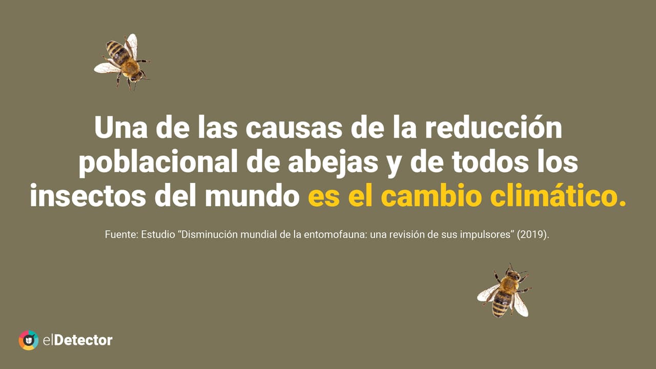 <a href="https://www.univision.com/noticias/diamundialabejas-no-evidencias-humanidad-acaba-4-anos-si-desaparecen-abejas-pero-mundo-si-cambiaria" target="_blank">Lee aquí</a> la verificación completa de
<b> elDetector.</b>