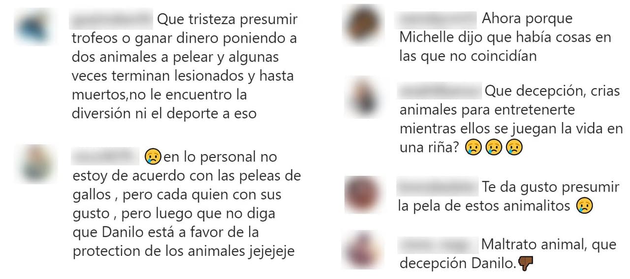 Varios de sus seguidores reaccionaron en la publicación de Instagram y 
<b>externaron su "decepción", al suponer </b>que crían gallos de pelea, información que no confirmó el actor.
<br>