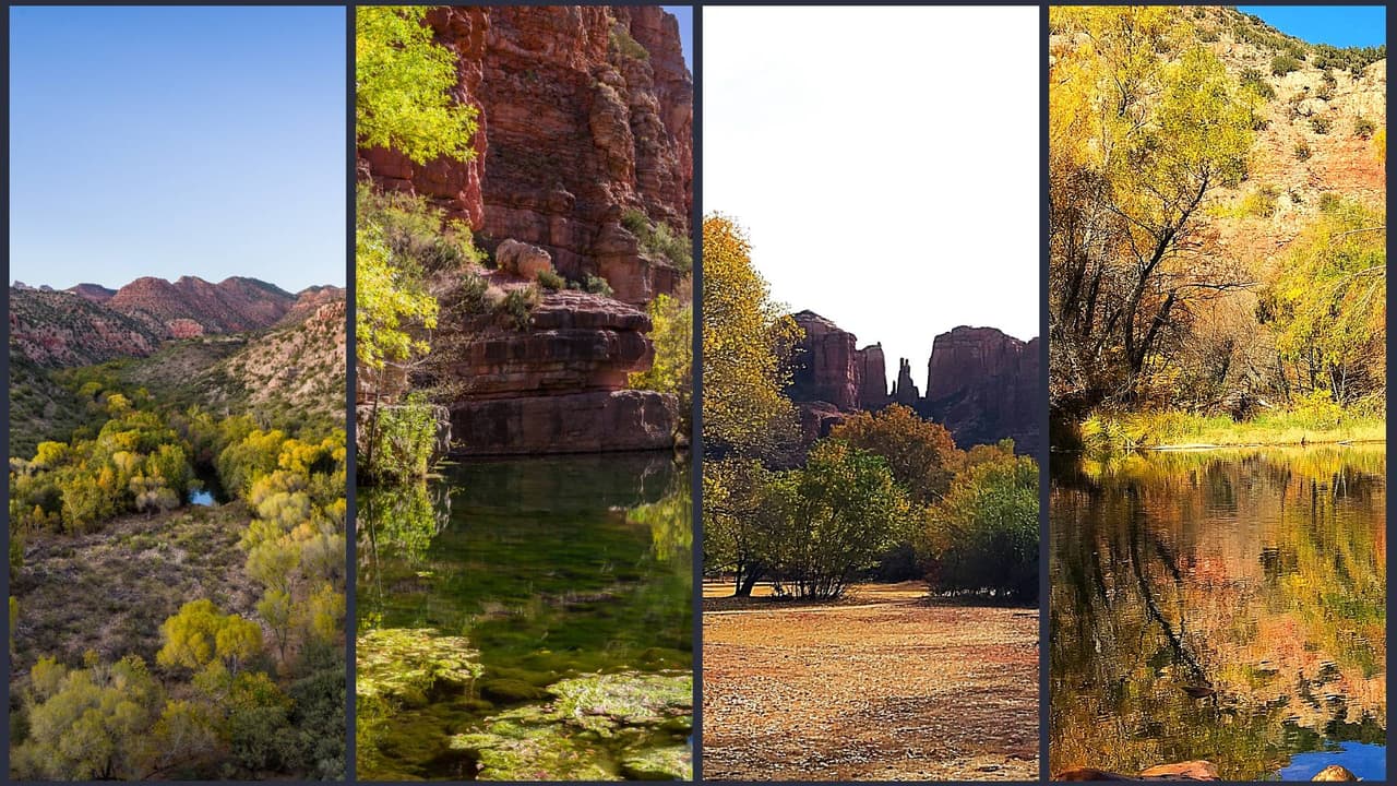 Estos son los mejores sitios en Arizona para disfrutar los colores de otoño