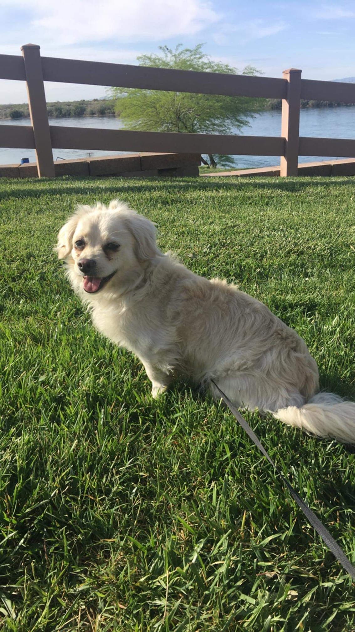 "Mi Luna" - Vicky Monterroso