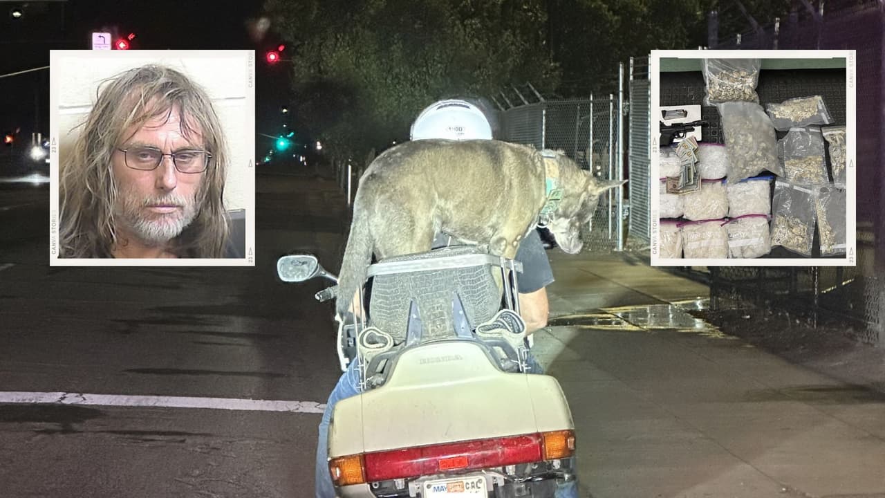 Transportaba peligrosamente a su perro en una moto y le encuentran metanfetaminas y hongos