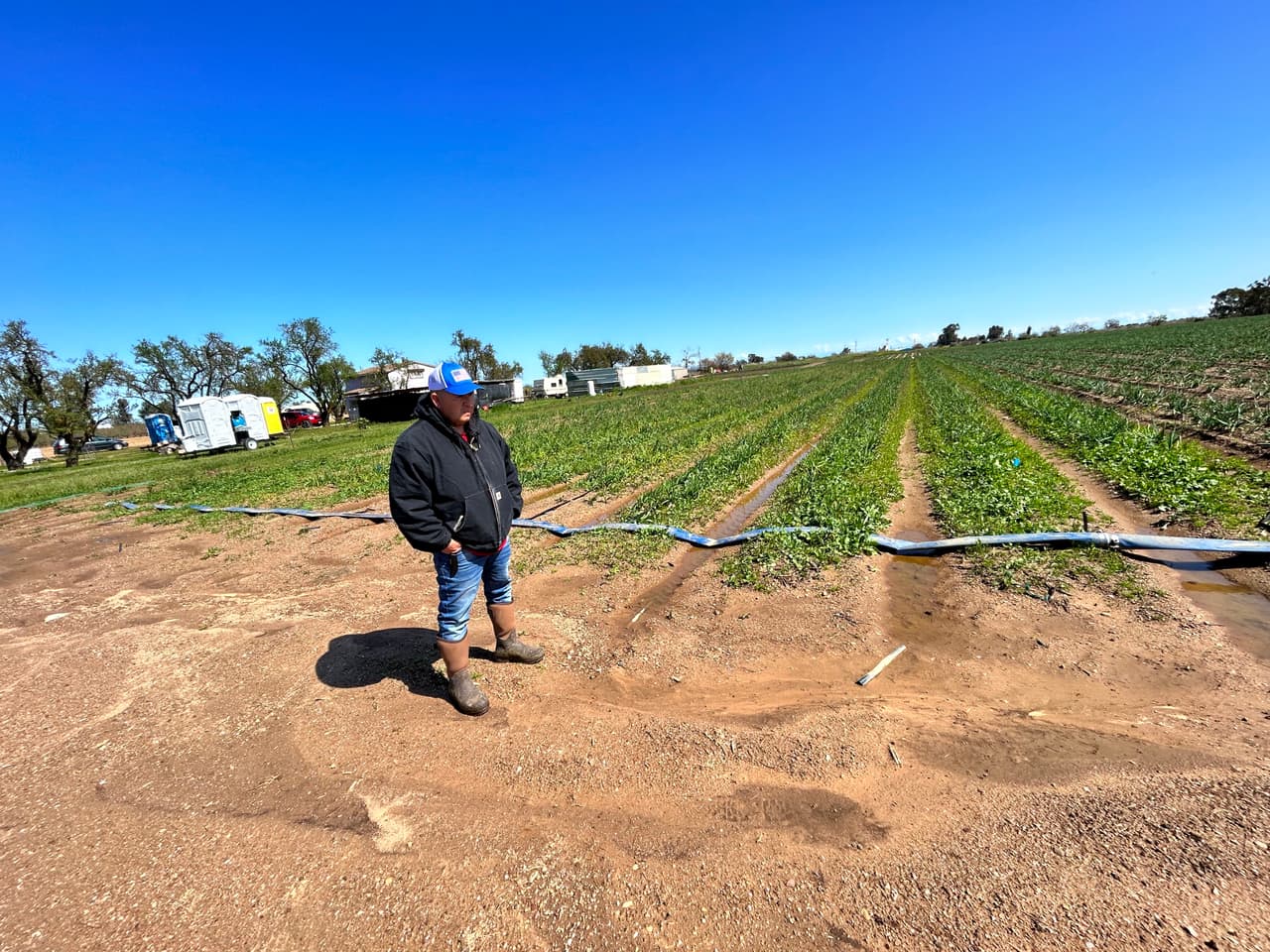 Tormentas invernales causan estragos en el campo y pérdidas de empleo