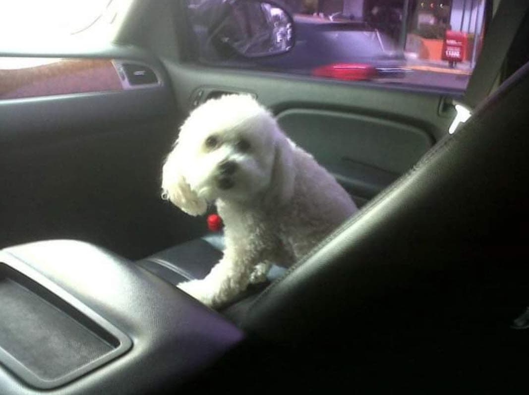 Sus seguidores le mandaron sus condolencias y mensajes de apoyo ante la sensible pérdida.
<br>