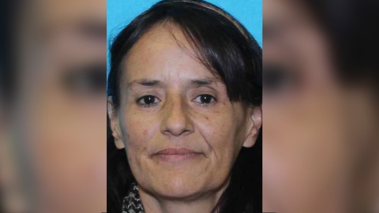 Buscan a hispana que desapareció el día de Navidad tras subir a un bus de METRO en Houston