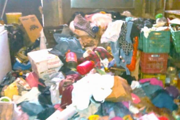 La fauna nociva como chinches, cucarachas y ratones, invadían el lugar.(Crédito: PGR).