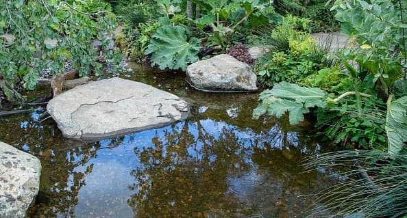 De acuerdo a la reseña de Hello!, el diseño del Hampton Court Palace tiene varias características "nuevas y divertidas". Algunas de ellas son un estanque para remar, una madriguera oculta y una colina rodeada de una pradera de flores silvestres.