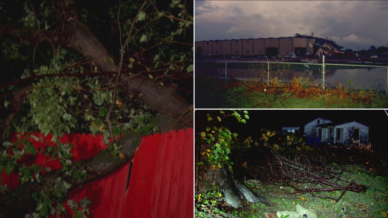 En Athens, una de las afectadas es Marysol Rodríguez, quien aseguró haber sentido un fuerte golpe y al revisar, se percató de que un árbol había caído sobre el techo de su vivienda.