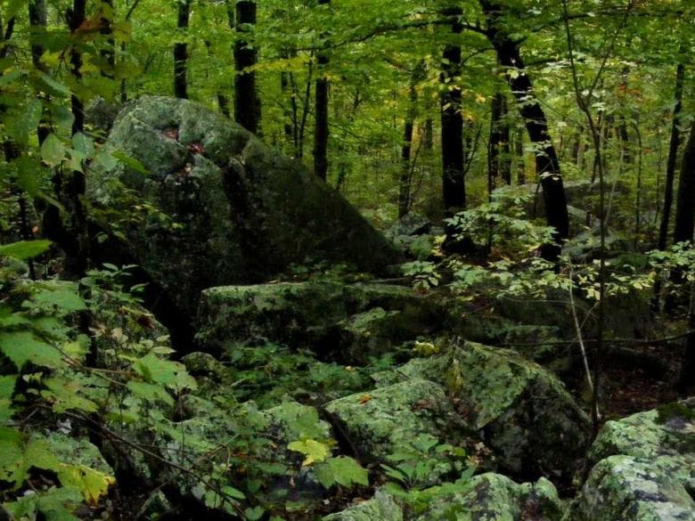 <b>Crockford Pigeon Mountain Wildlife Management Area </b>
<br>365 Rocky Land Rd., Lafayette, GA. 30728
<br>Esta propiedad estatal ofrece una excelente caza y apoya a poblaciones de caza saludables. Este es un destino popular para la caza, la espeleología**, la escalada en roca, el rappel, el senderismo, la equitación y otras actividades al aire libre. Se permite acampar en áreas designadas.
<br>
<br>** 
<i>Espeleología: Ciencia que estudia la naturaleza, el origen y formación de las cavernas y su fauna y flora.</i>
<br>
