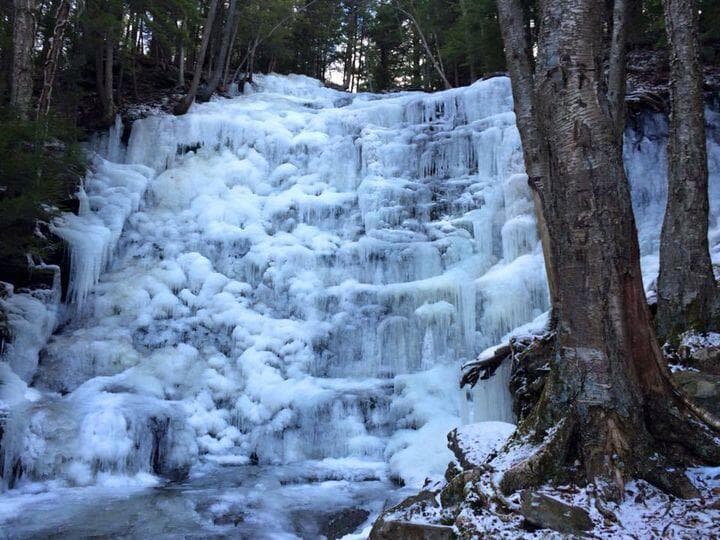 <b>Mira también: <a href="https://www.univision.com/local/philadelphia-wuvp/cascadas-pensilvania-visitar-invierno-2022-univision-fotos" target="_blank">Estas son las cascadas de Pensilvania que debes visitar en invierno </a></b>