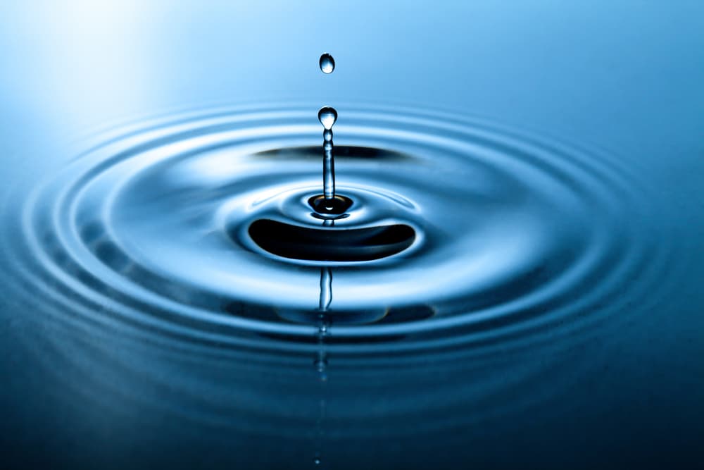 <b>Signos del elemento agua (Cáncer, Escorpión y Piscis)</b>
<br>
<b>Influirá en tu desarrollo mental e intuitivo</b>
<br>El novilunio de mayo ocurre dos días antes de la entrada de la Luna en Cáncer y por tanto en el elemento agua. Este período que se está iniciando y se extiende todo el llamado “mes sinódico” o sea el que marca el tiempo entre una Luna nueva y la siguiente marcará un período de desarrollo intuitivo muy alto.