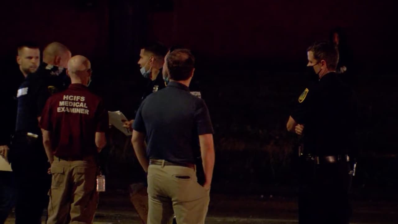 El reporte del Departamento de Policía de Houston indica que Alessio Leonardo Bevinetto, de 20 años, presuntamente conducía a exceso de velocidad y no se detuvo ante un señalamiento de alto.