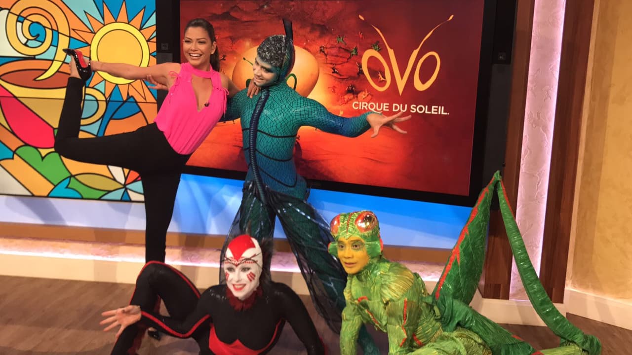 El resultado final, Ana es una mujer con mucha gracia.