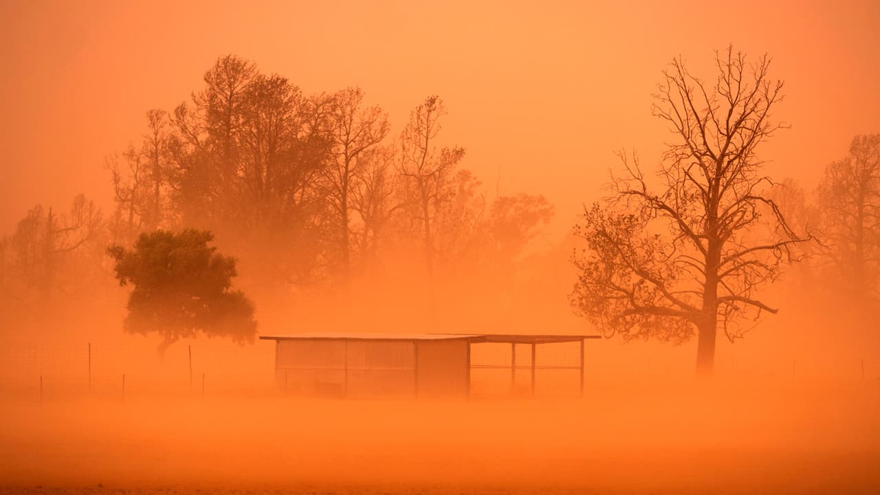 Si está en su vehículo, 
<b>evite conducir hacia o a través de una tormenta de polvo</b>, pero no se detenga en un carril de circulación ni en el carril de emergencia. Busque un lugar seguro para salir completamente de la parte pavimentada de la carretera. No espere hasta que la mala visibilidad dificulte salir de la carretera de manera segura.