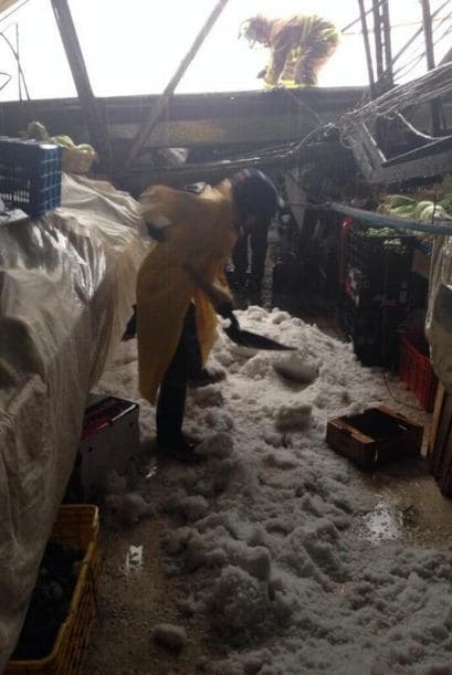 Y se colapsaron los techos de dos mercados. Imagen tomada de Twitter.