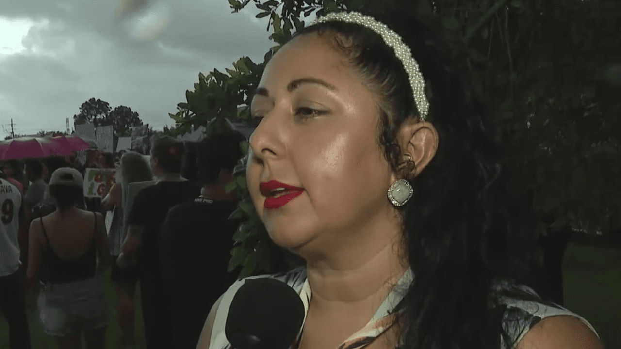 La abogada Bianca Santorini, 
<a href="https://www.univision.com/local/houston-kxln/ice-arresta-inmigrantes-corte-houston" target="_blank">quien ha estado denunciando detenciones de inmigrantes indocumentados desde la Corte de Inmigración de Houston</a>, estuvo presente. Ella se ha ofrecido para defender a personas que han sido arrestadas por ICE desde la corte ubicada en 8701 S. Gessner Road.