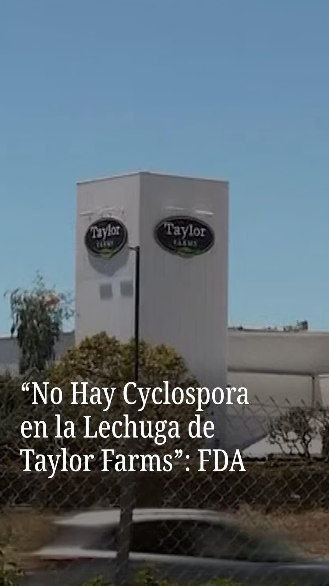 FDA descarta Cyclospora en la lechuga de Taylor Farms