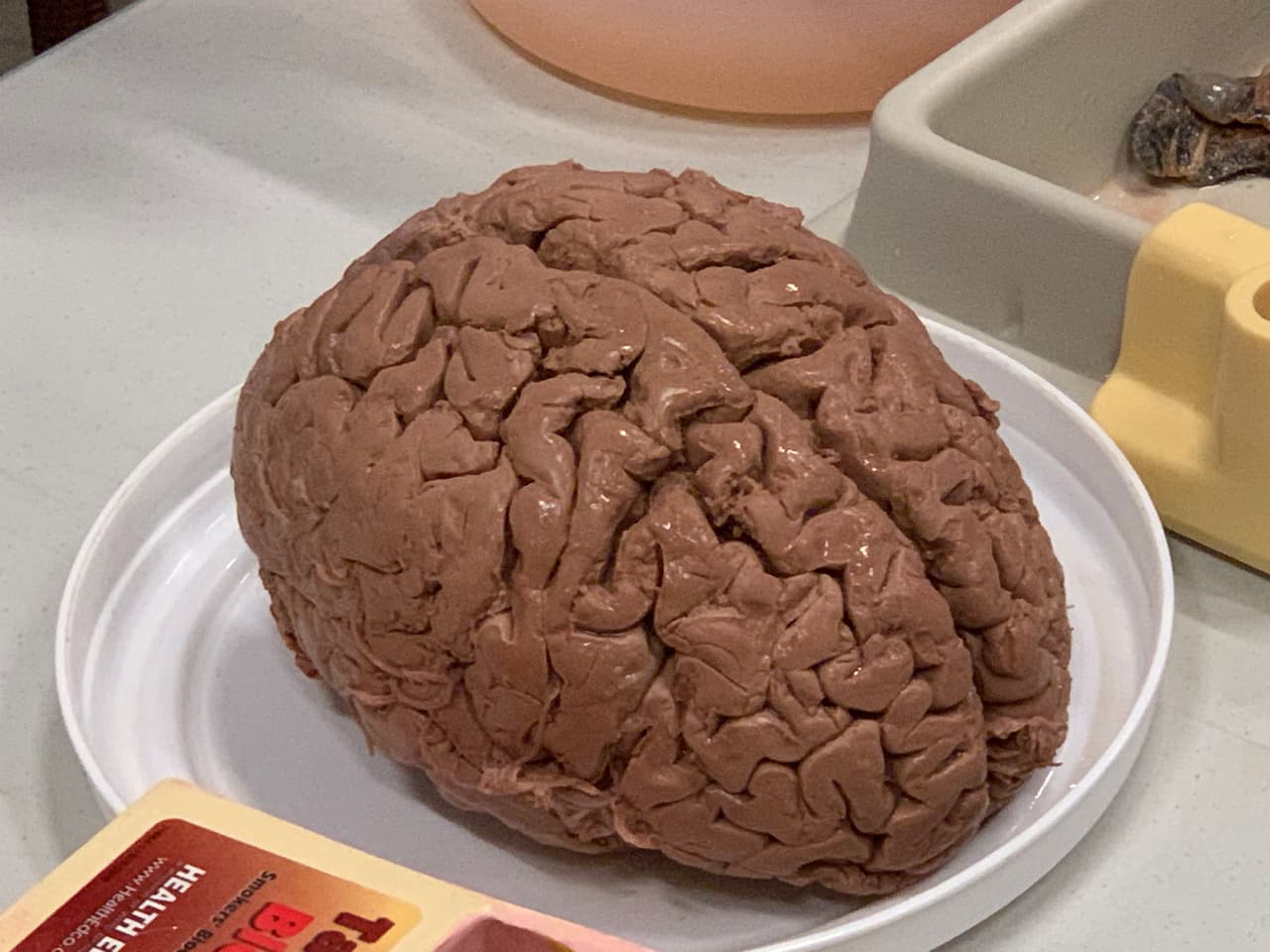 Una mujer de 75 años donó su cerebro para ser sometido a estudios. Su muerte se debió a un infarto.