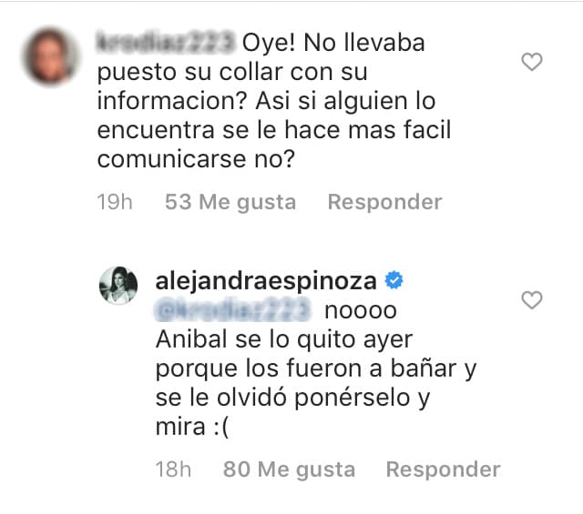 Justo un día antes su esposo Aníbal Marrero le había quitado el collar, lo que dificultó encontrarlo.