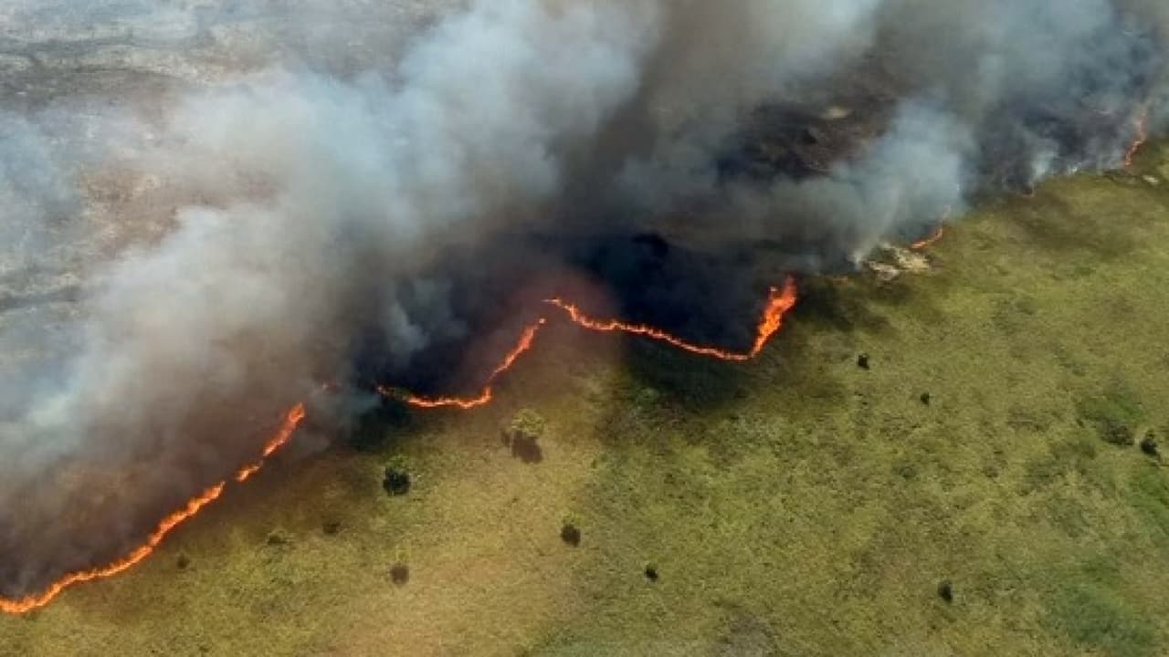 Un incendio de gran dimensión amenaza la selva de la Península de Yucatán en México 
