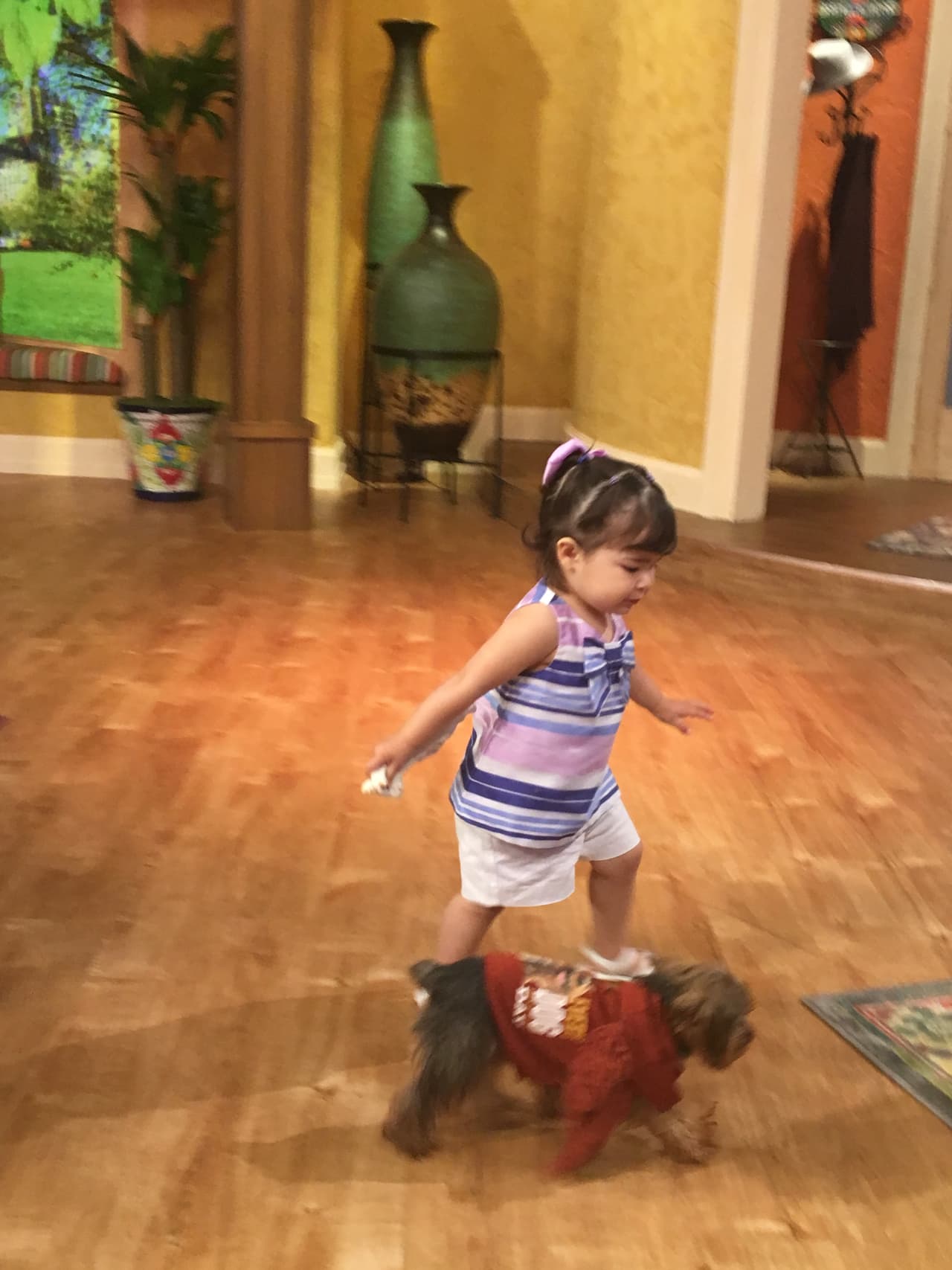 Una vez que rompieron el hielo ambos se pusieron a jugar.