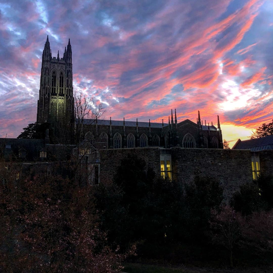 <b>Durham</b>
<br>
<b><a href="https://maps.app.goo.gl/wQ4d6Nemtv6wisV5A">Cómo llegar</a> </b>
<br>
<br>Para las parejas que prefieren una escapada a la ciudad en lugar de una escapada a la montaña, Durham ofrece un respiro asequible pero lujoso. Podrías visitar el majestuoso campus de la Universidad de Duke en 300 acres llenos de pinos o aventurarte fuera de la propiedad hacia los jardines Sarah P. Duke. La atracción, que se extiende a lo largo de 55 acres, alberga una variedad de miradores, fuentes de agua y jardines temáticos, como los fotogénicos jardines de la terraza, perfectos para robar momentos de tranquilidad con su pareja. Además, el acceso a los jardines es gratuito.