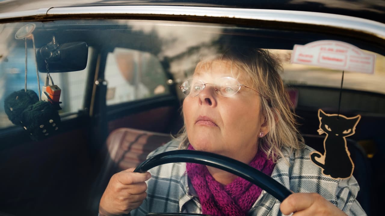 <b>Desórdenes de la vista.</b>
<br>
<br>Cualquier desorden en la vista hace que el manejo sea inherentemente peligroso si no se toman las medidas correctivas para remediarlo como por ejemplo el uso de anteojos con lentes correctivos. Es por esto que para obtener una licencia de manejo los conductores tienen que someterse a una prueba de visión y en caso de necesitar anteojos correctivos recibirán la anotación correspondiente en la licencia de conducir. Sin embargo, existen desórdenes oftalmológicos específicos para la tercera edad que se hacen más comunes a medida en que envejecemos. Las tres condiciones de la vista más comunes para las personas de la tercera edad son las cataratas que hacen que la visión sea apagada y borrosa, el glaucoma que afecta la visión periférica, y la degeneración macular que impide ver con claridad lo que ocurre en el centro del campo visual. 
<br>