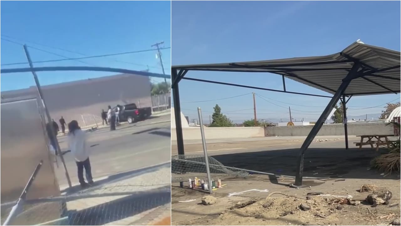 Niño muere tras ser atropellado por un sujeto en presunto estado de ebriedad